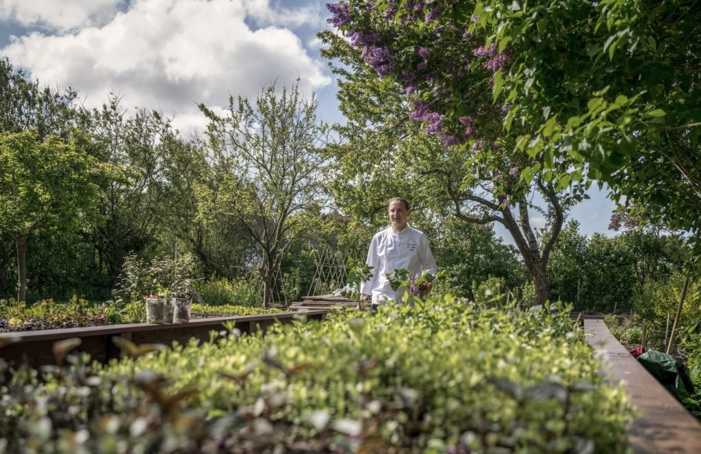 Der Koch im weißen Kittel steht in einem üppigen, friedlichen Garten.
