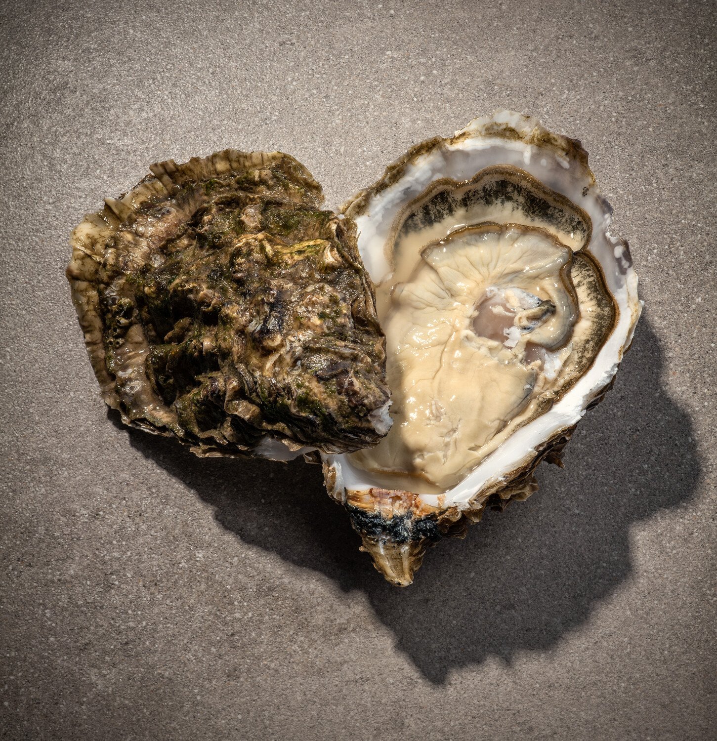 Fresh oyster on sand, a Söl’ring Hof Sylt delicacy.