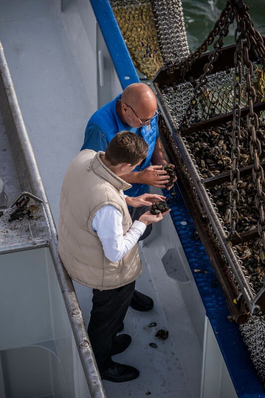 Männer ernten Sylt-Austern – besuchen Sie den Söl’ring Hof für ein luxuriöses Erlebnis.