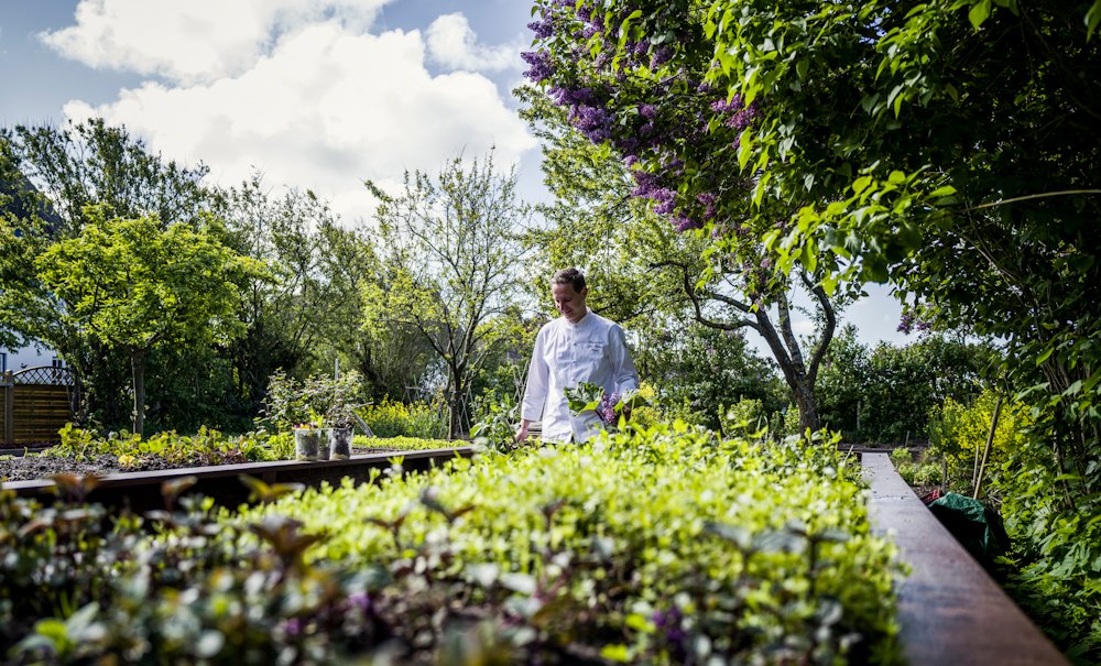 Koch im Garten des Söl’ring Hofs auf Sylt – eine kulinarische Urlaubsszene.
