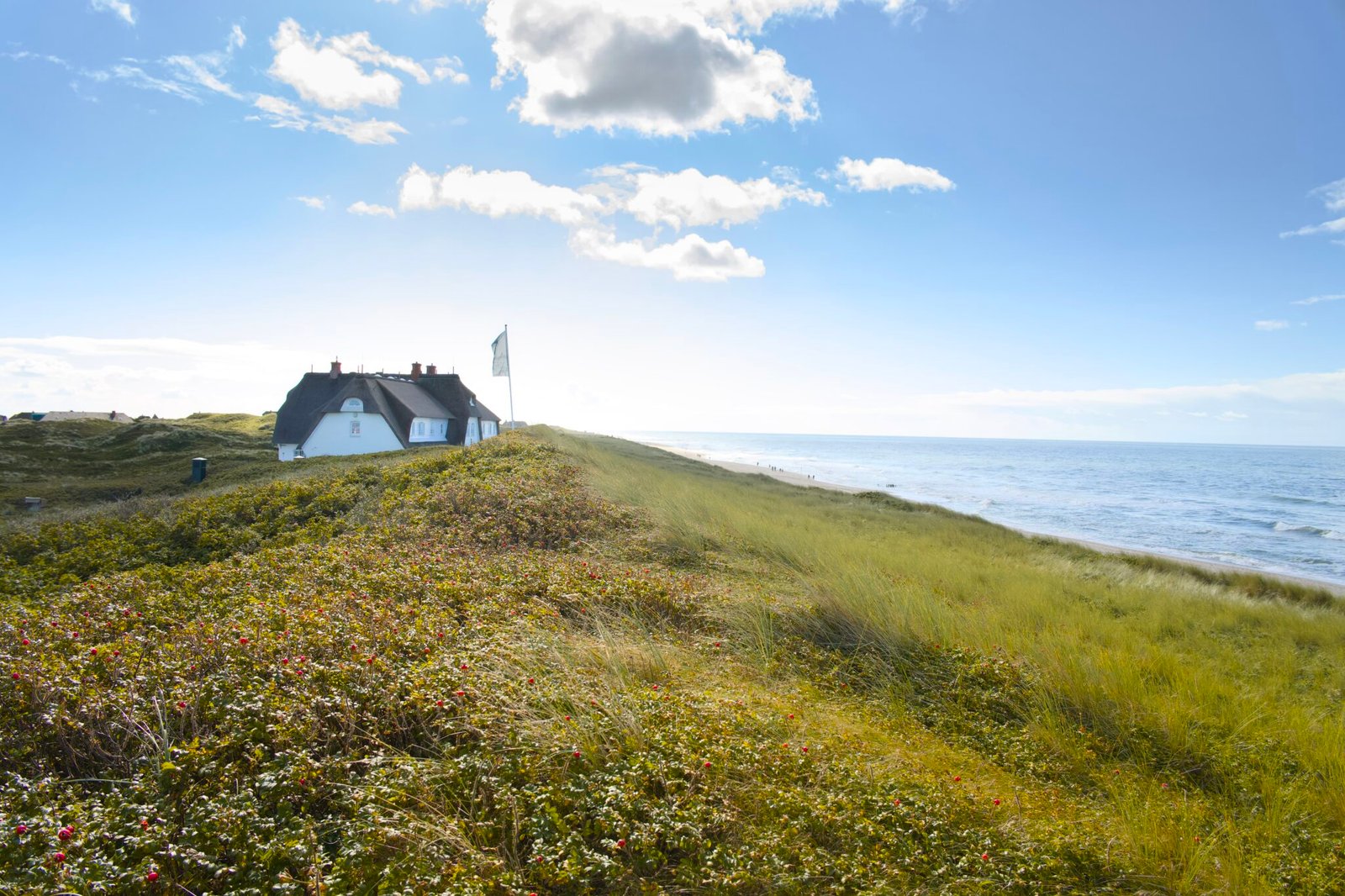 White thatched house by ocean, green grass, blue sky above.