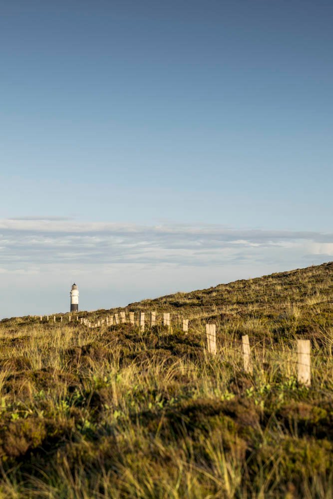 Weißer Leuchtturm am Horizont, grasbewachsener Hügel und Holzzaun im Vordergrund.