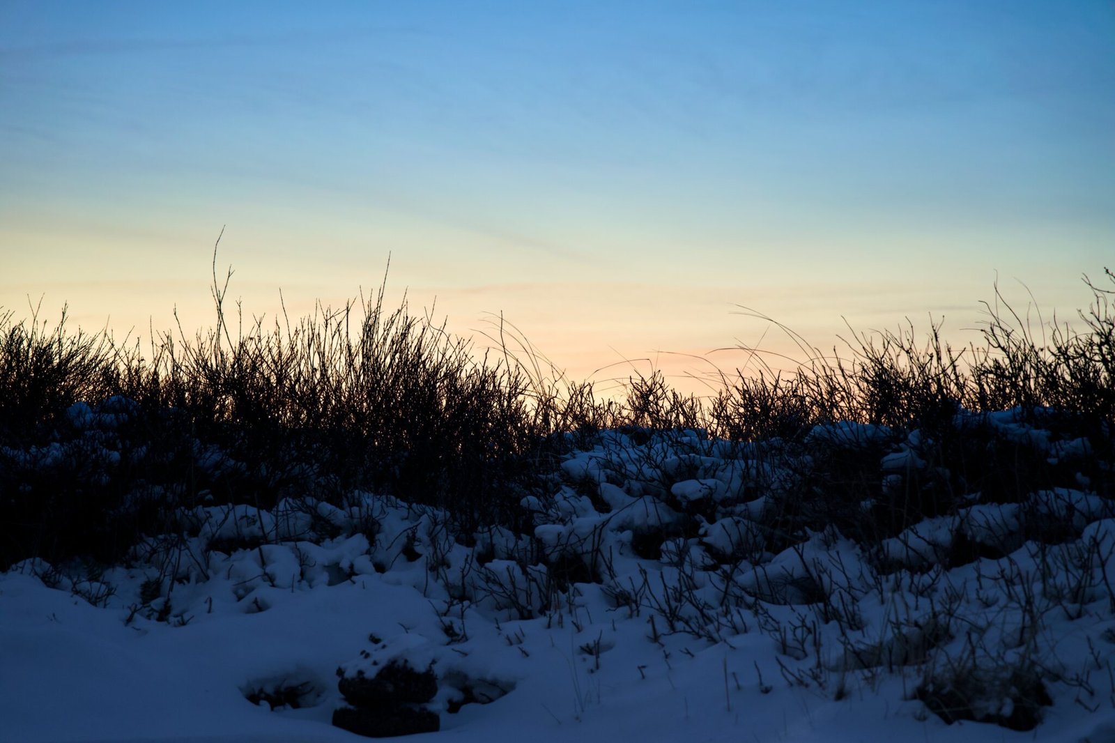 Schneebedeckter Boden, dunkle Sträucher und stufenförmiger Himmel bei Sonnenaufgang oder Sonnenuntergang.