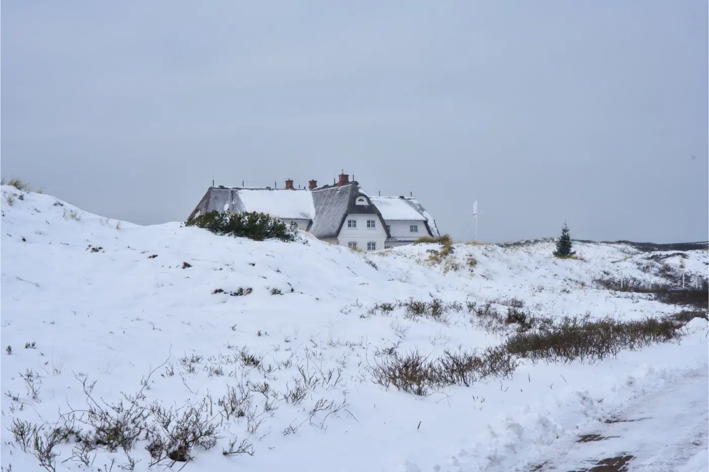 Reetgedecktes Haus hinter verschneiten Dünen, vereinzelte Pflanzen im Vordergrund.